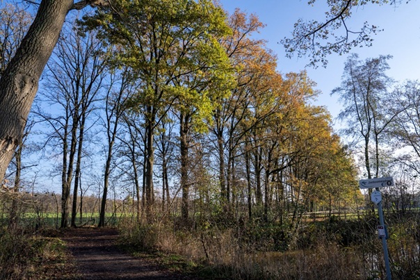 Syl La Vie verlies- en rouwconsulent voor jongeren en volwassenen
